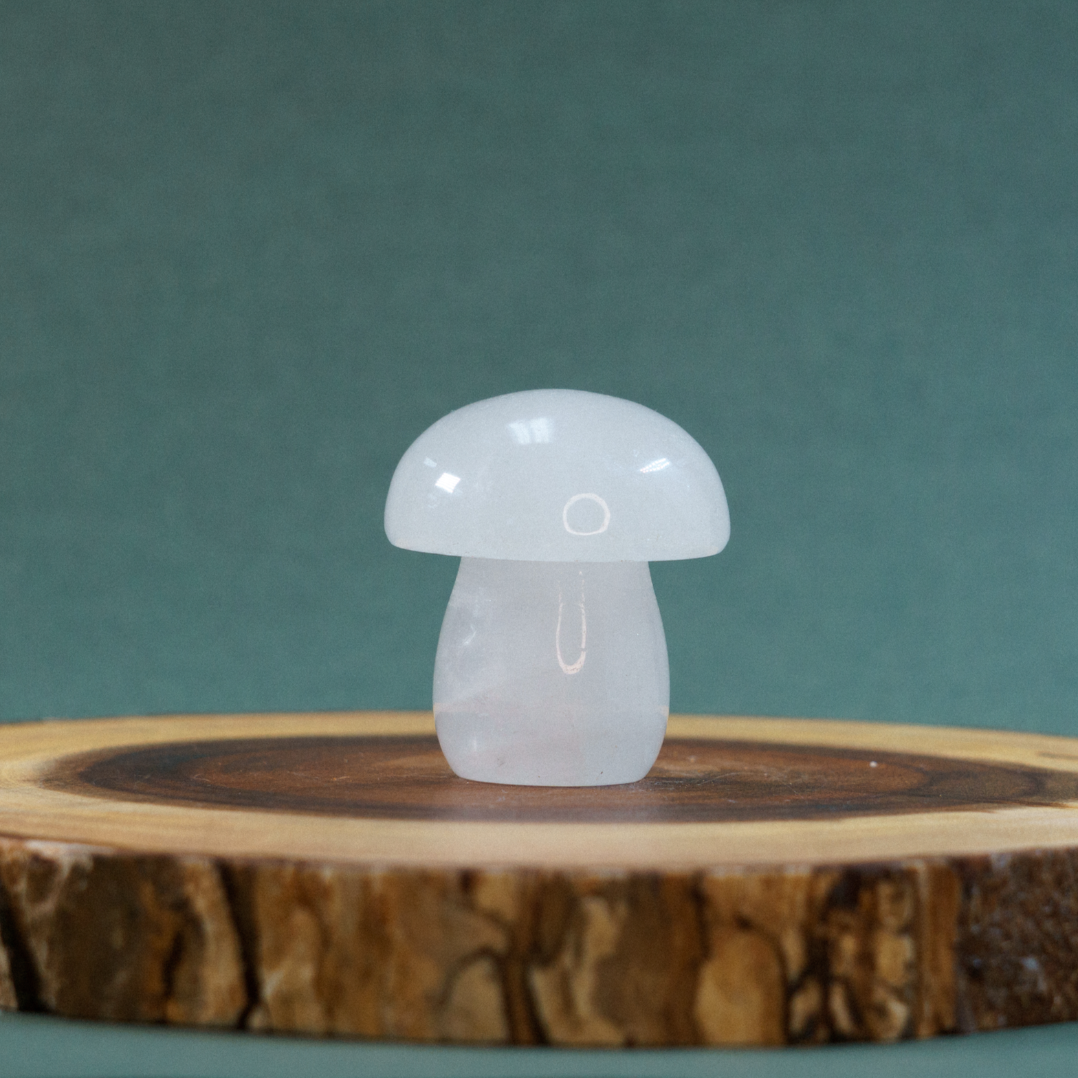 Clear Quartz Mushroom Crystal Carving - TurtleTarotEmporium