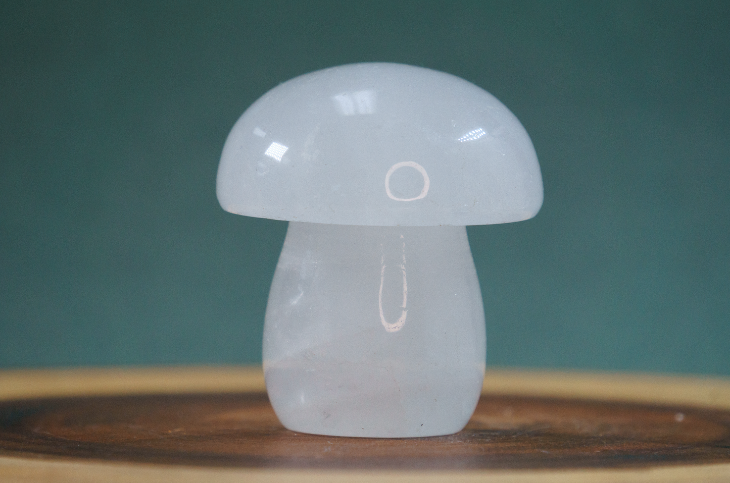 Clear Quartz Mushroom Crystal Carving - TurtleTarotEmporium